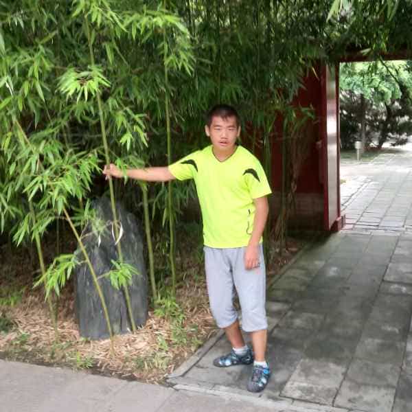 龙岗征婚相亲网