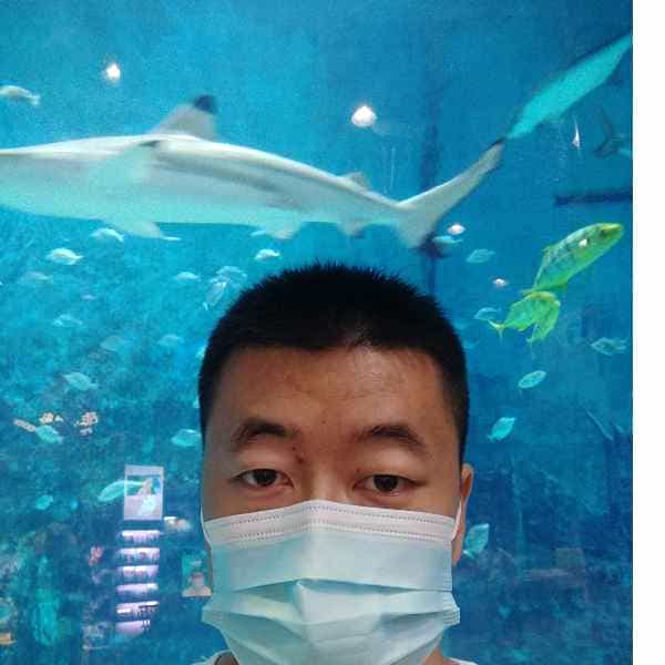 河北34岁单身帅哥真诚找对象-龙岗征婚相亲网