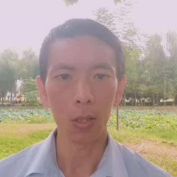 龙岗征婚相亲网